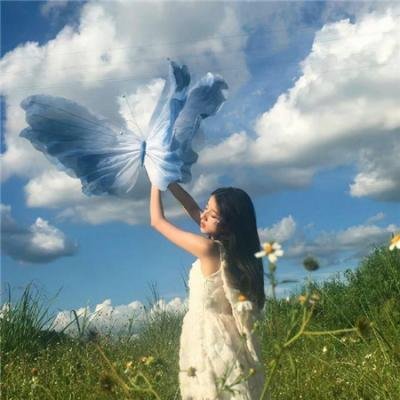 紫禁秘录